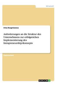 Anforderungen an die Struktur des Unternehmens zur erfolgreichen Implementierung des Intrapreneurship-Konzepts