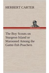 Boy Scouts on Sturgeon Island or Marooned Among the Game-fish Poachers