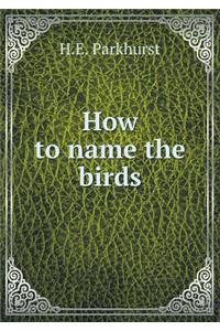 How to Name the Birds