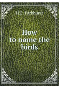 How to name the birds