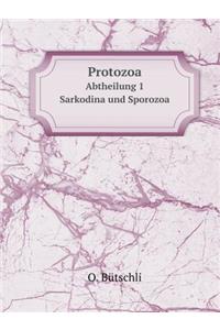 Protozoa Abtheilung 1
