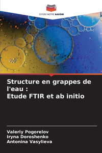 Structure en grappes de l'eau