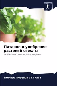 Питание и удобрение растений свеклы
