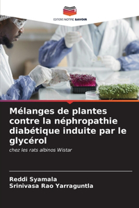 Mélanges de plantes contre la néphropathie diabétique induite par le glycérol