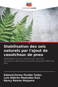 Stabilisation des sols naturels par l'ajout de caoutchouc de pneu