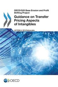 OECD/G20 Base Erosion and Profit Shifting Project Guidance on Transfer Pricing Aspects of Intangibles