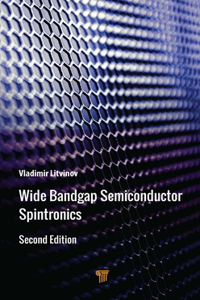 Wide Bandgap Semiconductor Spintronics