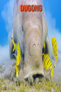 Dugong
