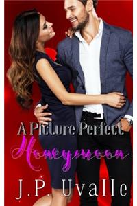 Picture Perfect Honeymoon