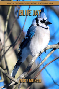 Blue Jay