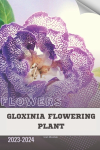 Gloxinia Flowering Plant