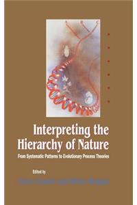 Interpreting the Hierarchy of Nature