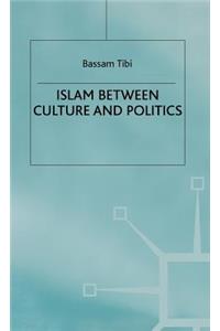 Islam Between Culture and Politics