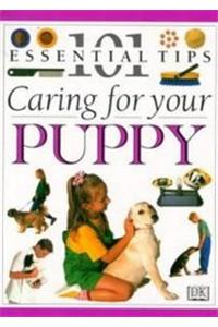 Caring For Your Puppy