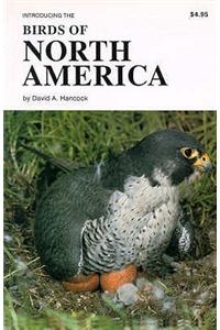 Birds of North America