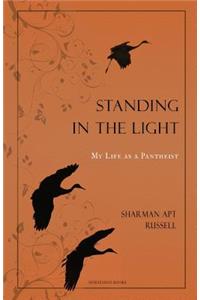 Standing In The Light