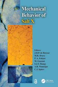 Mechanical Behavior of Salt X