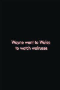 Wayne went to Wales to watch walruses