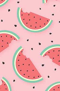 Watermelon Notebook