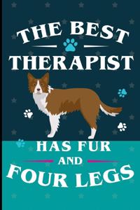 The Best Therapist Has Fur And Four Legs