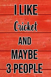 I Like Cricket And Maybe 3 People