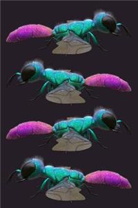 Jewel Wasp Notebook