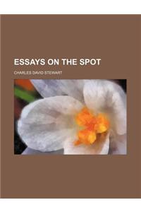 Essays on the Spot