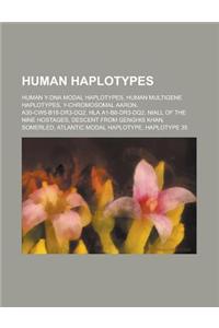 Human Haplotypes: Human Y-DNA Modal Haplotypes, Human Multigene Haplotypes, Y-Chromosomal Aaron, A30-Cw5-B18-Dr3-Dq2, HLA A1-B8-Dr3-Dq2