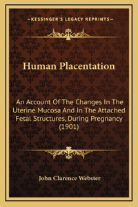 Human Placentation