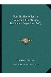 Fossilia Hantoniensia Collecta, Et In Musaeo Britannico Deposita (1766)