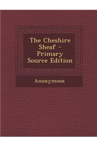 The Cheshire Sheaf