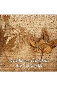 Feuilles D'erable Au Canada 2017