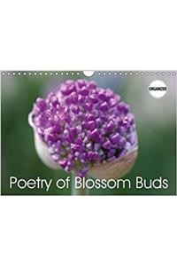 Poetry of Blossom Buds 2018
