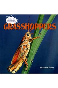 Grasshoppers