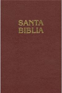 Santa Biblia-Rvr 1960