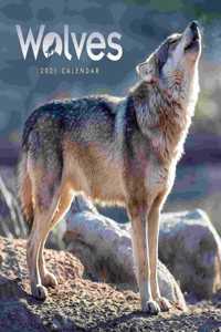 WOLVES SQUARE WALL CALENDAR 2021