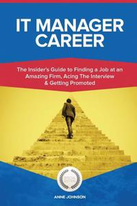 It Manager Career (Special Edition)