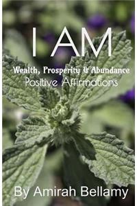 I AM Wealth, Prosperity & Abundance Positive Affirmations