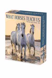 What Horses Teach Us 2023 Box Calendar