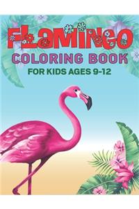 Flamingo Coloring Book for Kids Ages 9-12