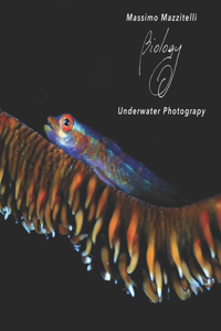 Massimo Mazzitelli - Underwater Photograpy