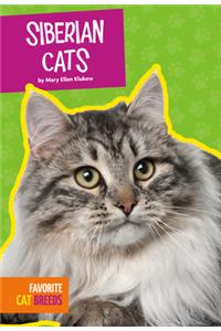Siberian Cats