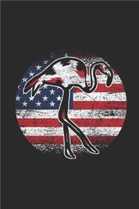 Flamingo USA