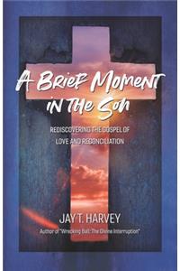 Brief Moment In The Son