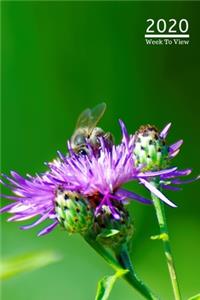 A5 2020 Diary Week To View Paperback Cover With Alternative Design -