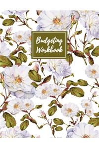 Budgeting Workbook: Daily Weekly & Monthly Finance Budget Planner l Expense Tracker & Bill Organizer l Budget Planning (8.5x11) V3