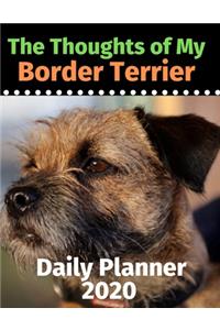 The Thoughts of My Border Terrier