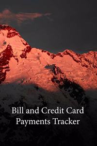Bill and Credit Card Payments Tracker