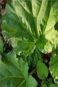 2020 Weekly Planner Garden Rhubarb Leaves 134 Pages