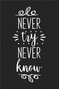 Never Try Never Know